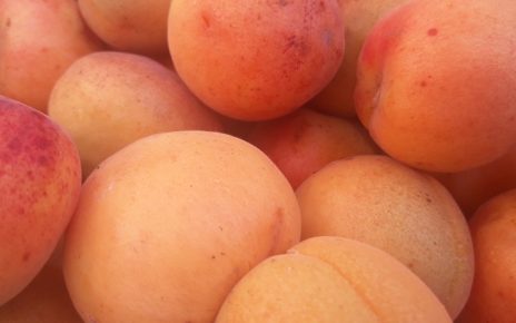 КАЈСИЈЕ, Фото: Ча глас