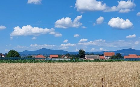 лето, Фото: Дарка Симеуновић