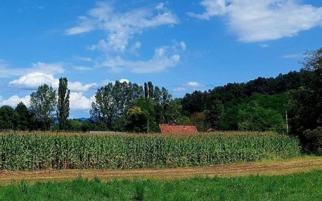август, Фото: Милан Чакајац