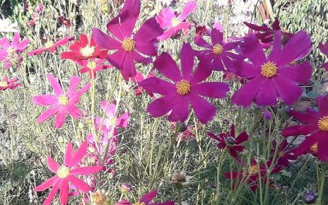 септембар, лето