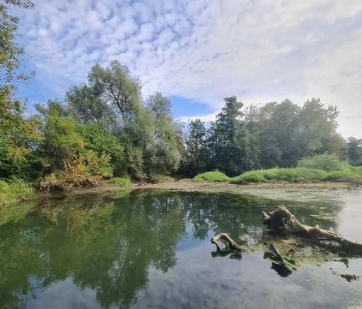 СЕПТЕМБАР ФОТО: ЗОРИЦА МИЛОШЕВИЋ