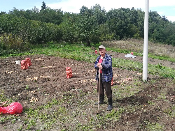 село