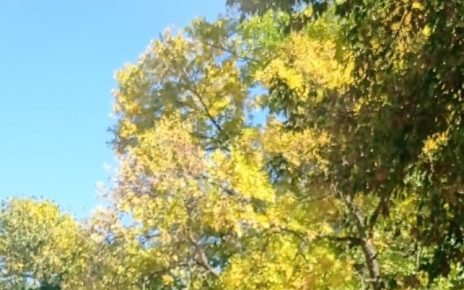 ЈЕСЕН, Фото: Мима Зиндовић