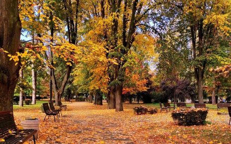 јесен Фото: Слађана Шутић