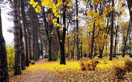јесен, Фото: Слађана Шутић