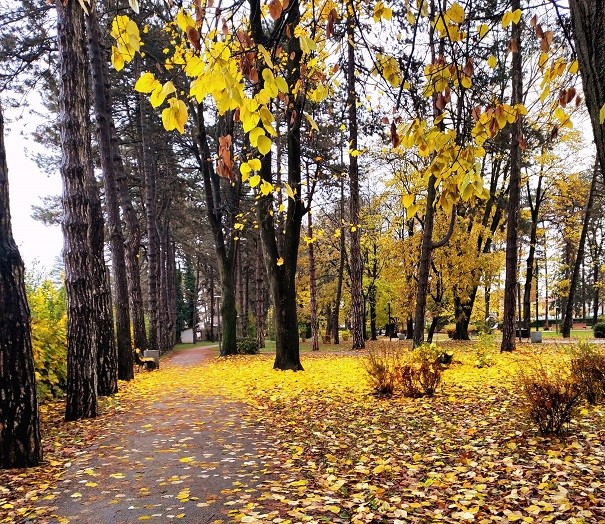 јесен, Фото: Слађана Шутић