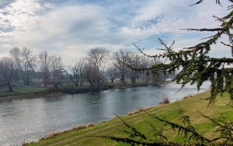 Фото: Дарка Симеуновић