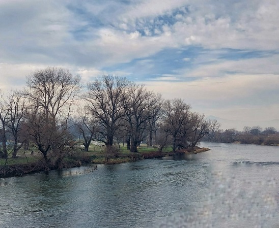 децембар, Фото: Дарка Симеуновић