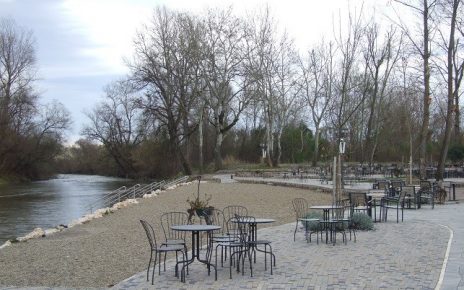 цветњак децембар Фото: Владе Дуба