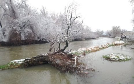 зима Фото: Зоран Зиндовић