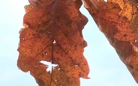 БАДЊАК Фото: Милан Чакајац