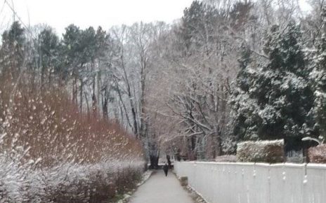зима Фото: Зоран Зиндовић