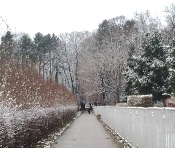 зима Фото: Зоран Зиндовић