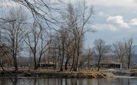 СЛАЂАНА БЕЛИЋ