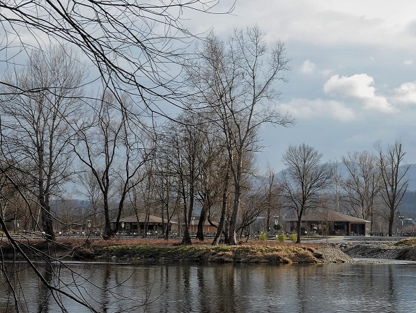 СЛАЂАНА БЕЛИЋ