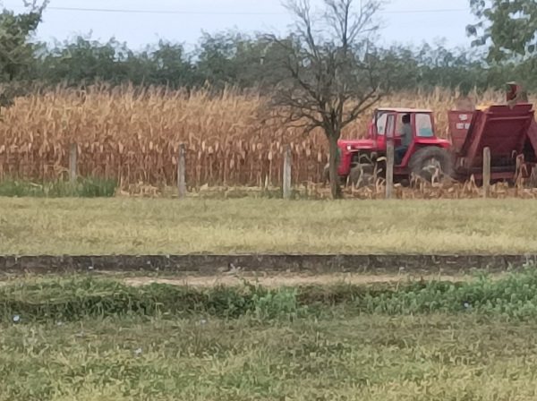 СЕЛО