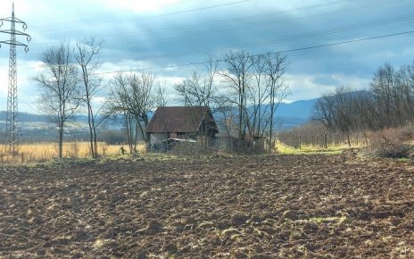 ФЕБРУАР Фото: Дарка Симеуновић