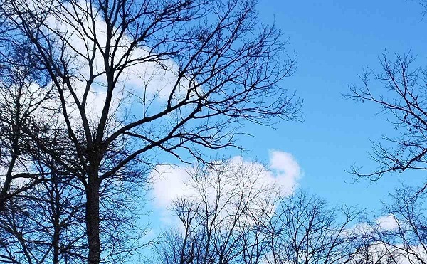 зима Фото: Мима Зиндовић