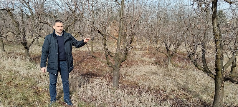 Др Дарко Јевремовић, директор чачанског Института за воћарство