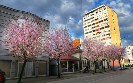 МАРТ, ФОТО: ВЕРОНИКА ВУКИЋЕВИЋ