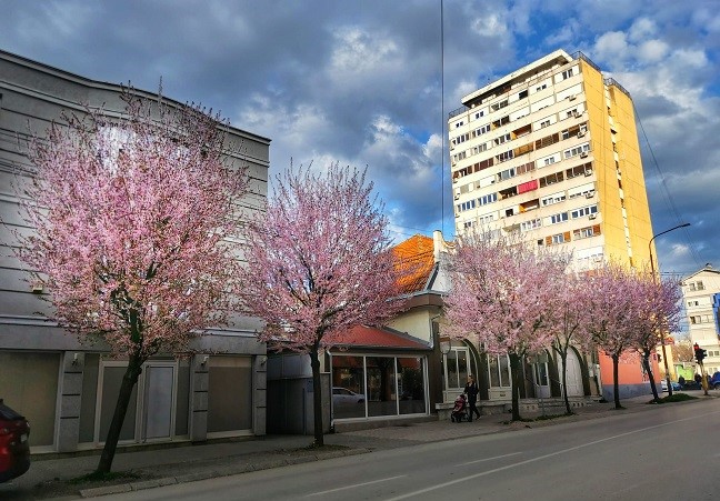 МАРТ, ФОТО: ВЕРОНИКА ВУКИЋЕВИЋ