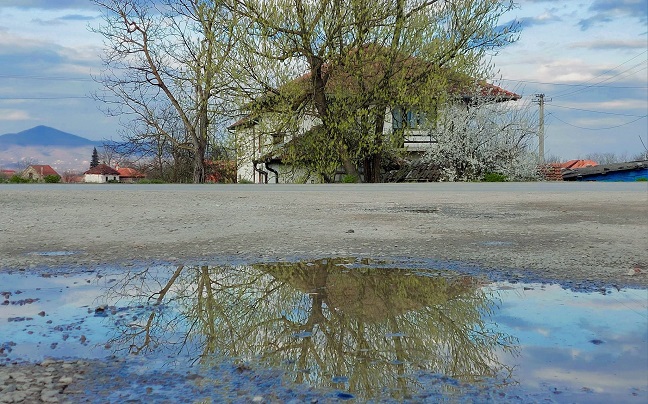 Фото: Дарка Симеуновић