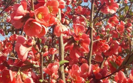 АПРИЛ, ФОТО: Г. Д.
