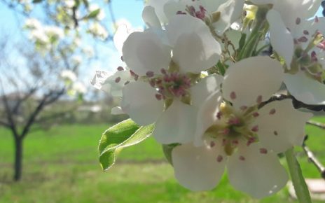 Април, Фото: Г. Д.