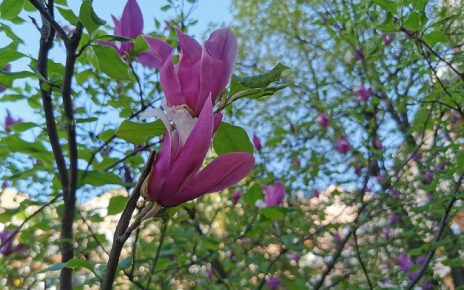 април Фото: Вероника Вукићевић