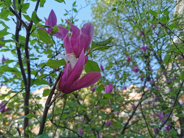 април Фото: Вероника Вукићевић