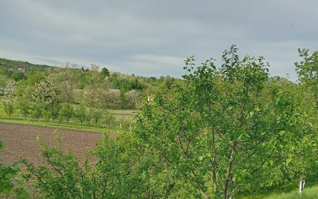 Фото: Јасна Баралић