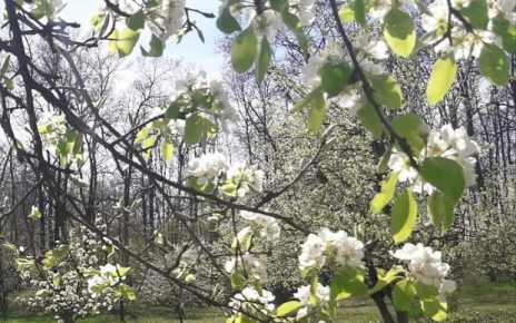 АПРИЛ Фото: Г. Д.