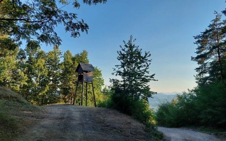 АПРИЛ Фото: Јасмина М. Пауновић