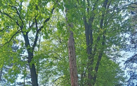 АПРИЛ ФОТО: ЈАСНА БАРАЛИЋ