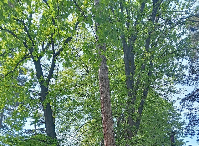 АПРИЛ ФОТО: ЈАСНА БАРАЛИЋ