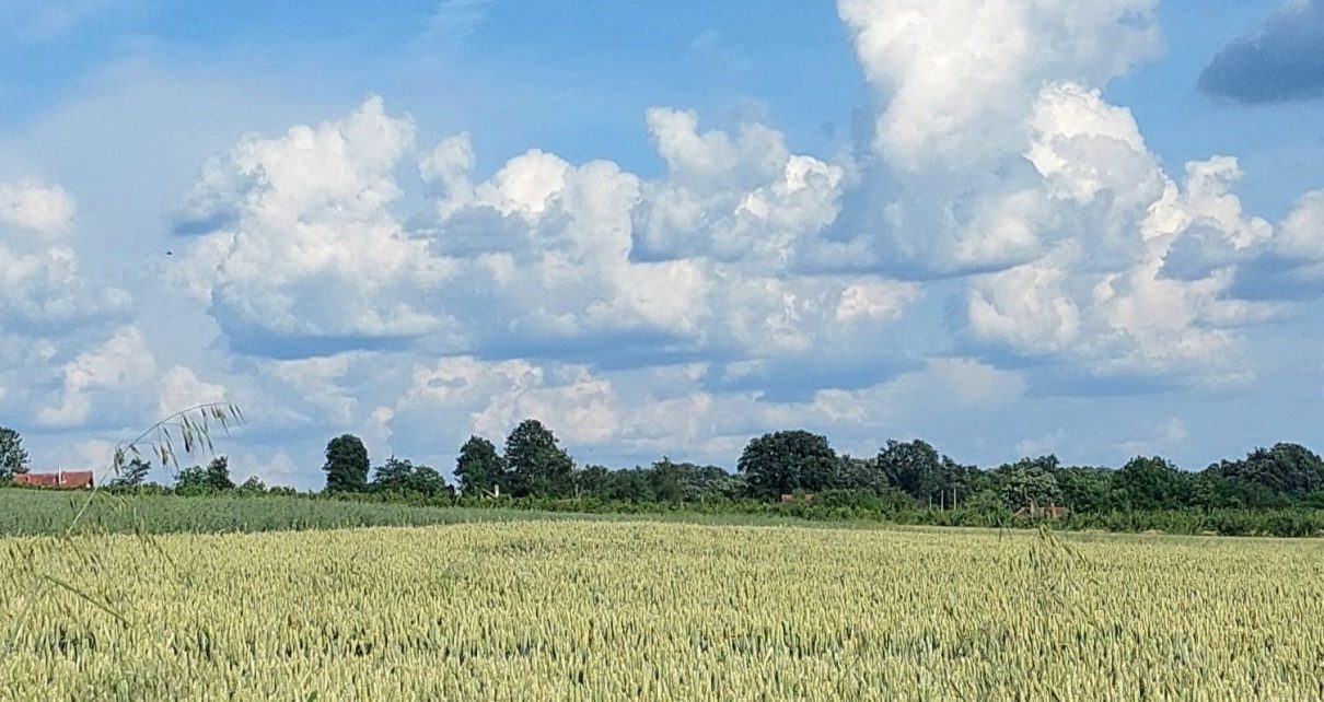 ЛЕТО ФОТО: ДАРКА СИМЕУНОВИЋ