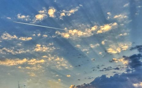 лето, Фото: Дарка Симеуновић