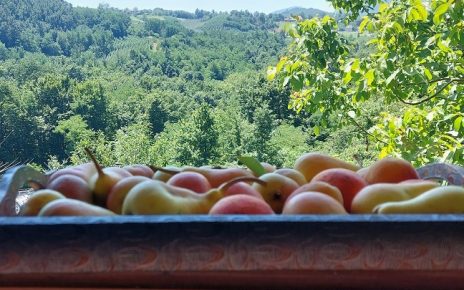 Фото: Дарка Симеуновић