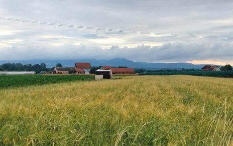 лето, Фото: Дарка Симеуновић