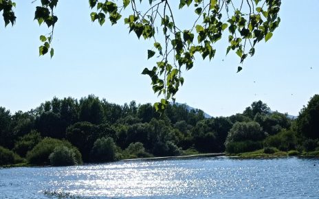 Фото: Мима Зиндовић