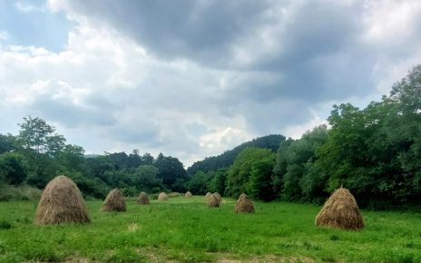 лето, облачно Фото: Дарка Симеуновић