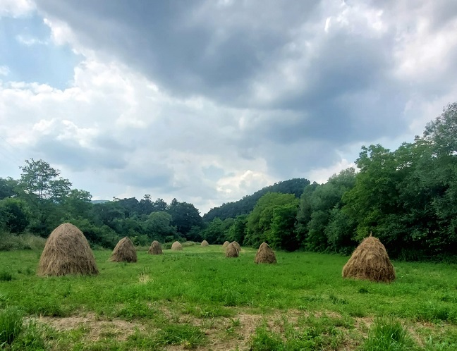 лето, облачно Фото: Дарка Симеуновић