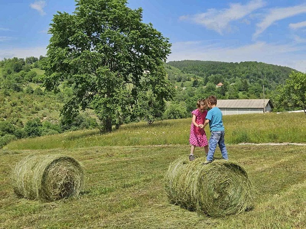 лето, Фото: Александра Тодосијевић