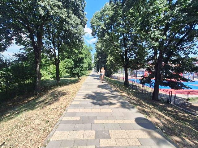 лето Фото: В. Јовичић