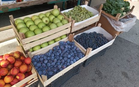 ПИЈАЦА, Фото: В. С.