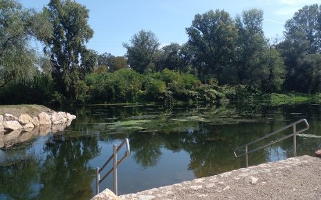 цветњак лето