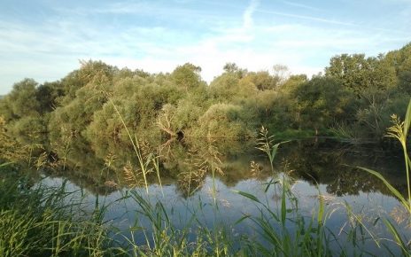 септембар Фото: Зоран Зиндовић