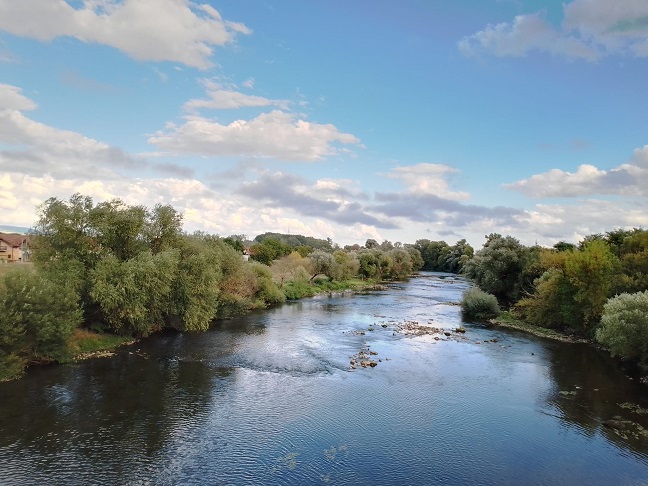 лето Фото: Зоран Зиндовић