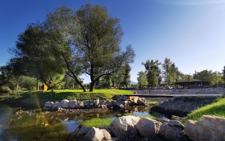 ЦВЕТЊАК СЕПТЕМБАР Фото: Вероника Вукићевић