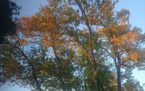 септембар, фото: Мима Зиндовић